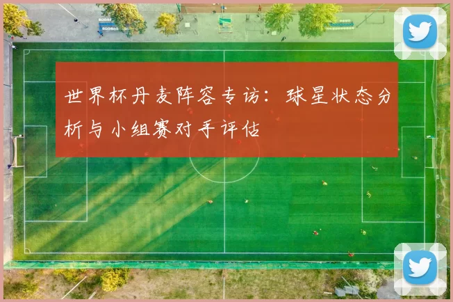 世界杯丹麦阵容专访：球星状态分析与小组赛对手评估