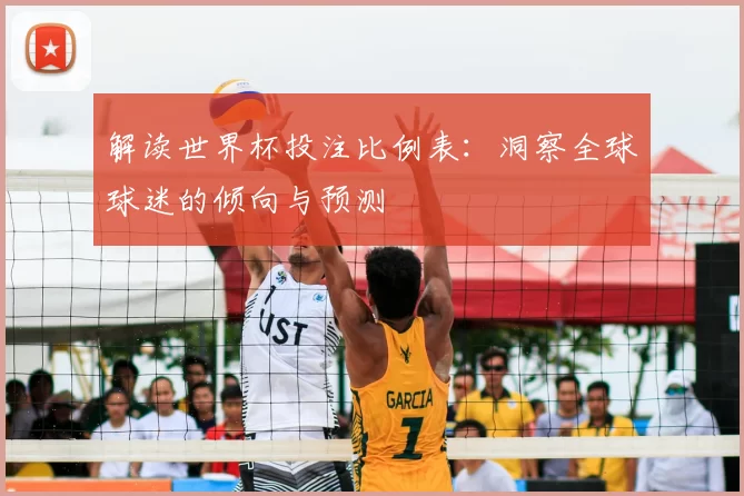 解读世界杯投注比例表:洞察全球球迷的倾向与预测