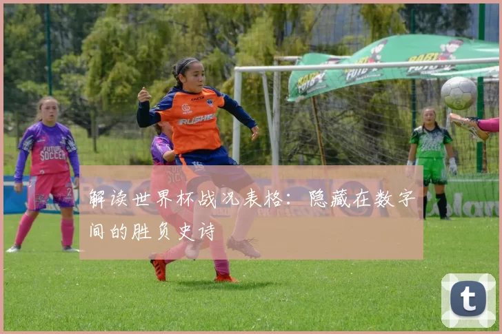 解读世界杯战况表格：隐藏在数字间的胜负史诗