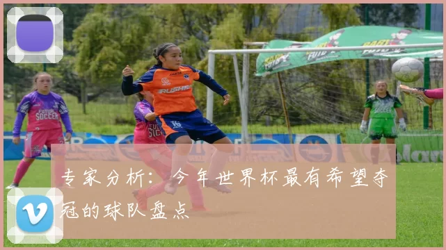 专家分析：今年世界杯最有希望夺冠的球队盘点