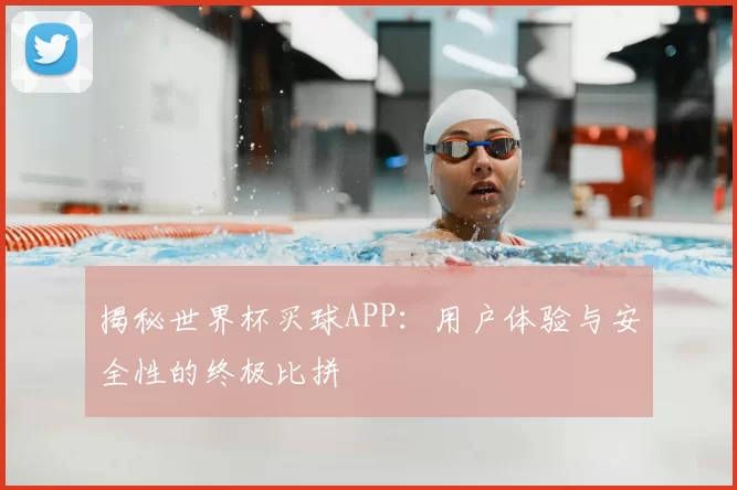 揭秘世界杯买球APP：用户体验与安全性的终极比拼