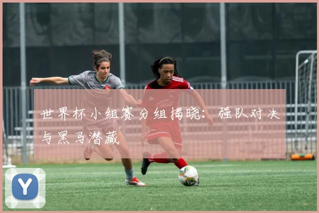 世界杯小组赛分组揭晓：强队对决与黑马潜藏