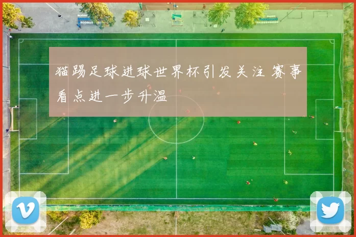 猫踢足球进球世界杯引发关注 赛事看点进一步升温
