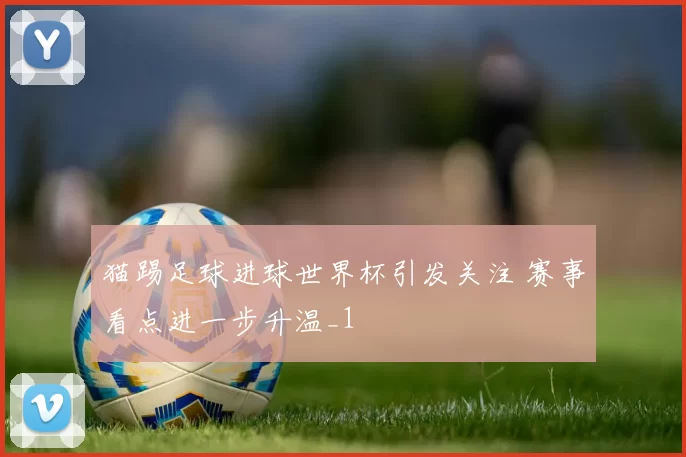 猫踢足球进球世界杯引发关注 赛事看点进一步升温_1